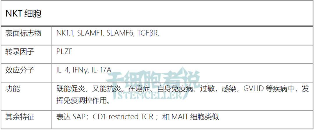 关于 T 细胞家族成员，你需要知道什么？
