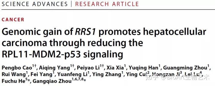 Sci Adv | 周钢桥/贺福初合作揭示新的肝癌癌基因RRS1