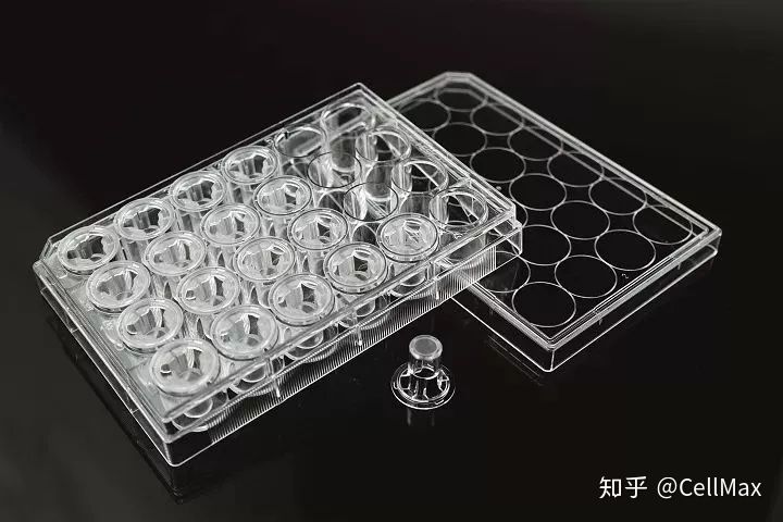 细胞侵袭实验总结