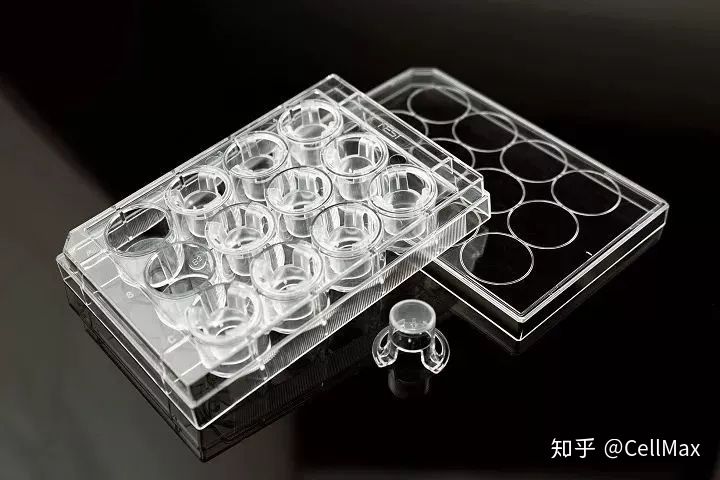 细胞侵袭实验总结