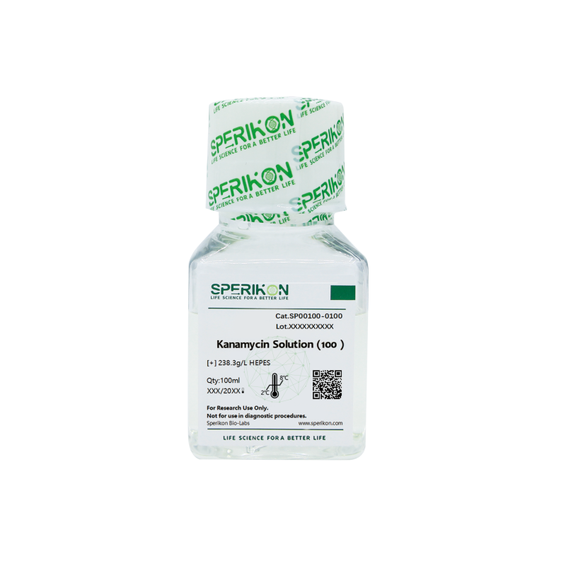 Kanamycin Solution (100×)