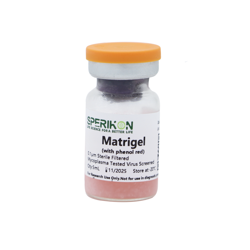 Matrigel