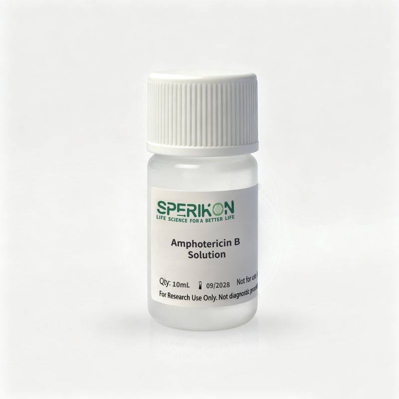 Amphotericin B Solution