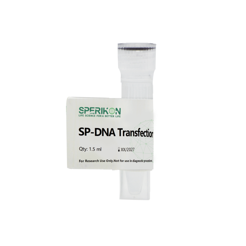 SP-DNA Transfection Reagent