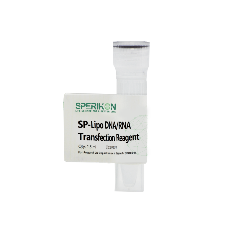 SP-Lipo DNA/RNA Transfection Reagent