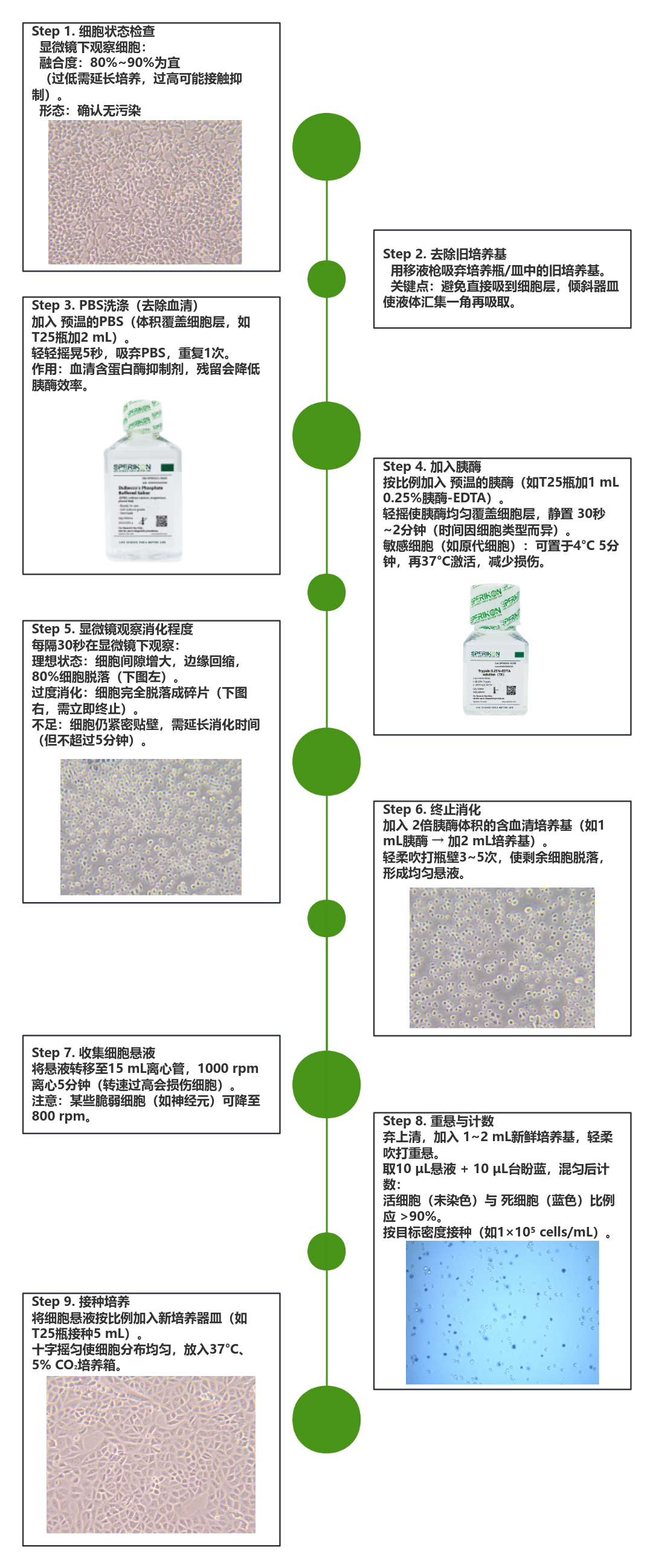 实验TIPS丨细胞消化实验