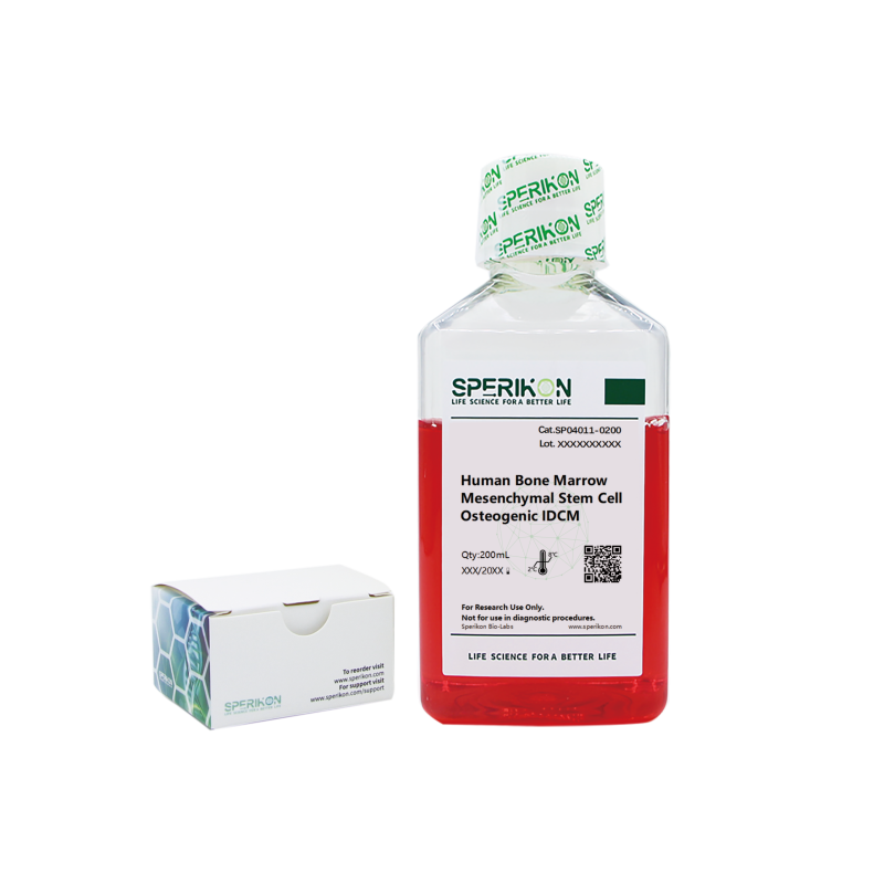Human Bone Marrow Mesenchymal Stem Cell Osteogenic IDCM