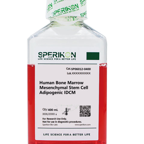 Human Bone Marrow Mesenchymal Stem Cell Adipogenic IDCM