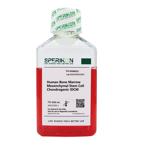Human Bone Marrow Mesenchymal Stem Cell Chondrogenic IDCM