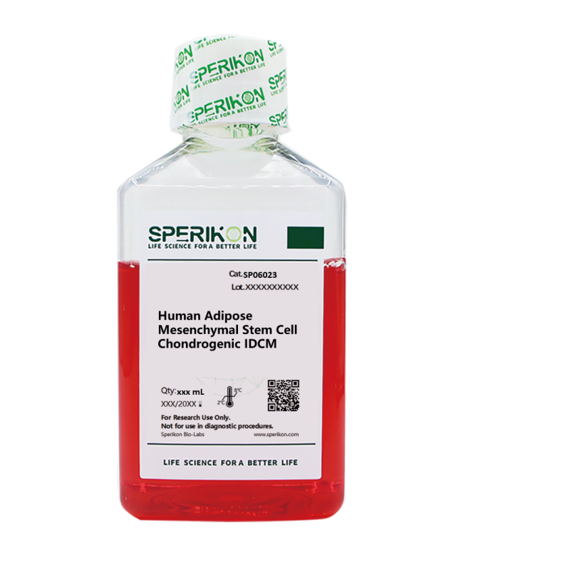 Human Adipose Mesenchymal Stem Cell Chondrogenic IDCM