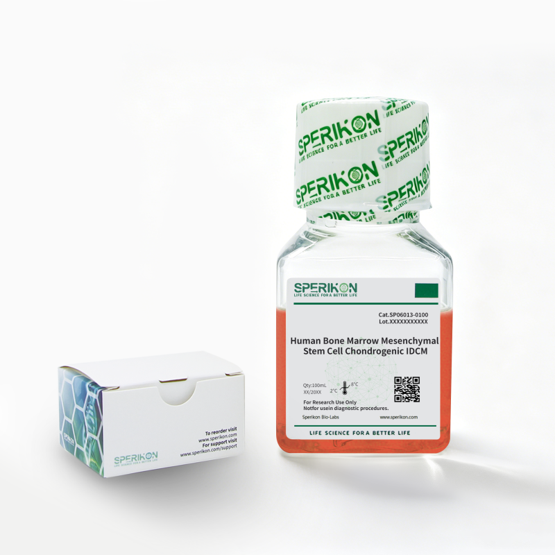 Human Bone Marrow Mesenchymal Stem Cell Chondrogenic IDCM