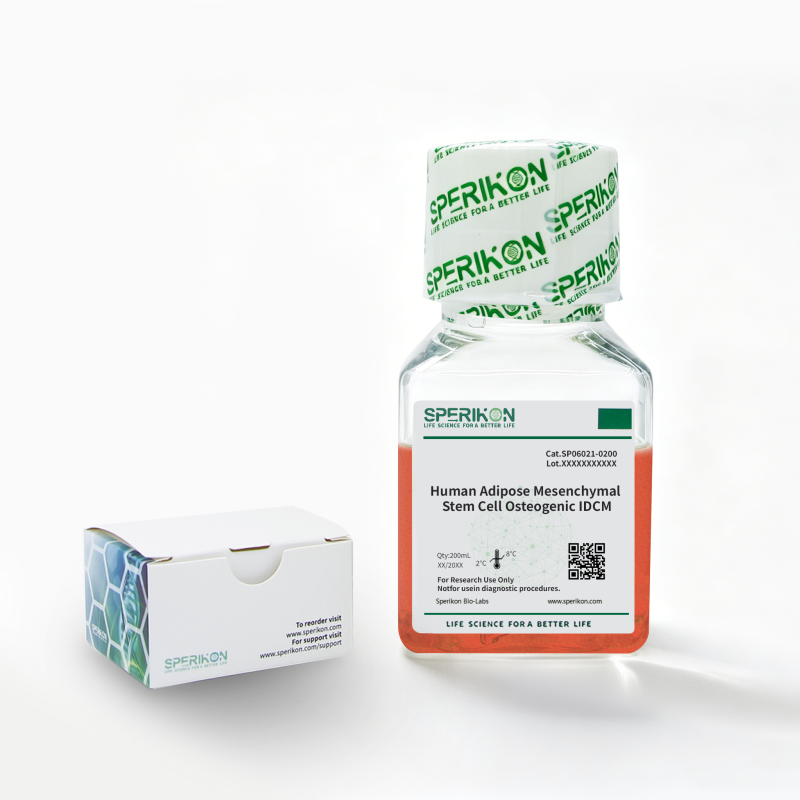 Human Adipose Mesenchymal Stem Cell Osteogenic IDCM