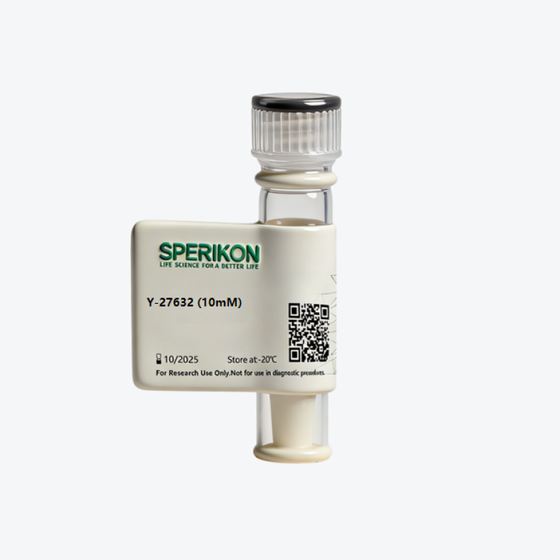 Y-27632 (ROCK inhibitor)