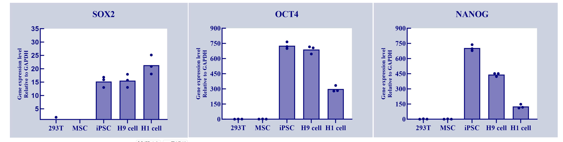 Pluripotency Gene Expression via qPCR