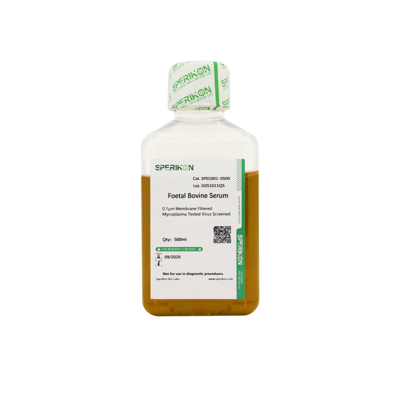 胎牛血清(新西兰)Foetal Bovine Serum