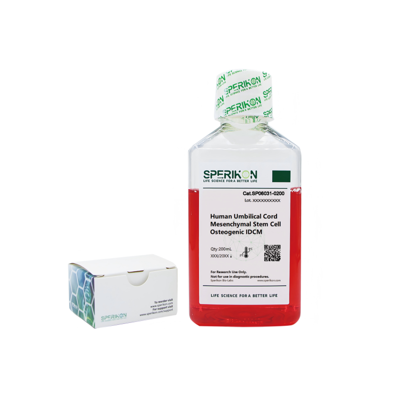 Human Umbilical Cord Marrow Mesenchymal Stem Cell Osteogenic IDCM