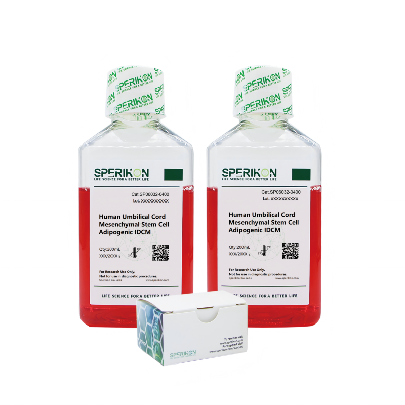 Human Umbilical Cord Mesenchymal Stem Cell Adipogenic IDCM