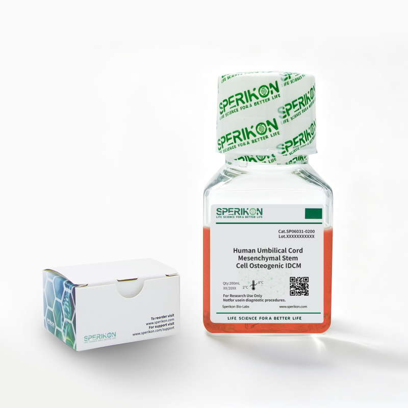 Human Umbilical Cord Marrow Mesenchymal Stem Cell Osteogenic IDCM