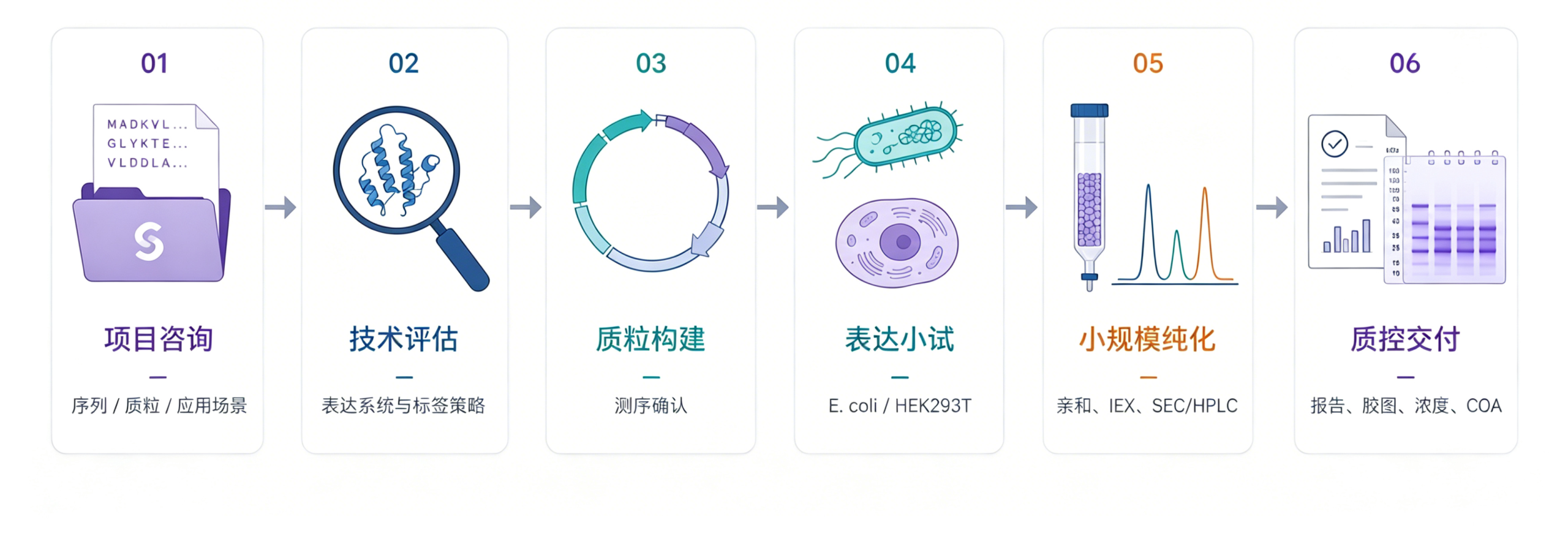 General Workflow