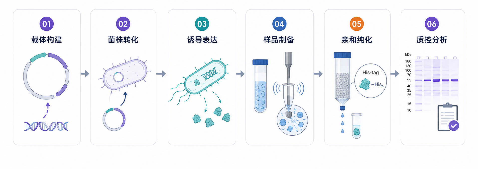 技术路线图