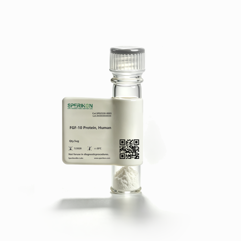 Recombinant FGF-10, Human, Animal-Free